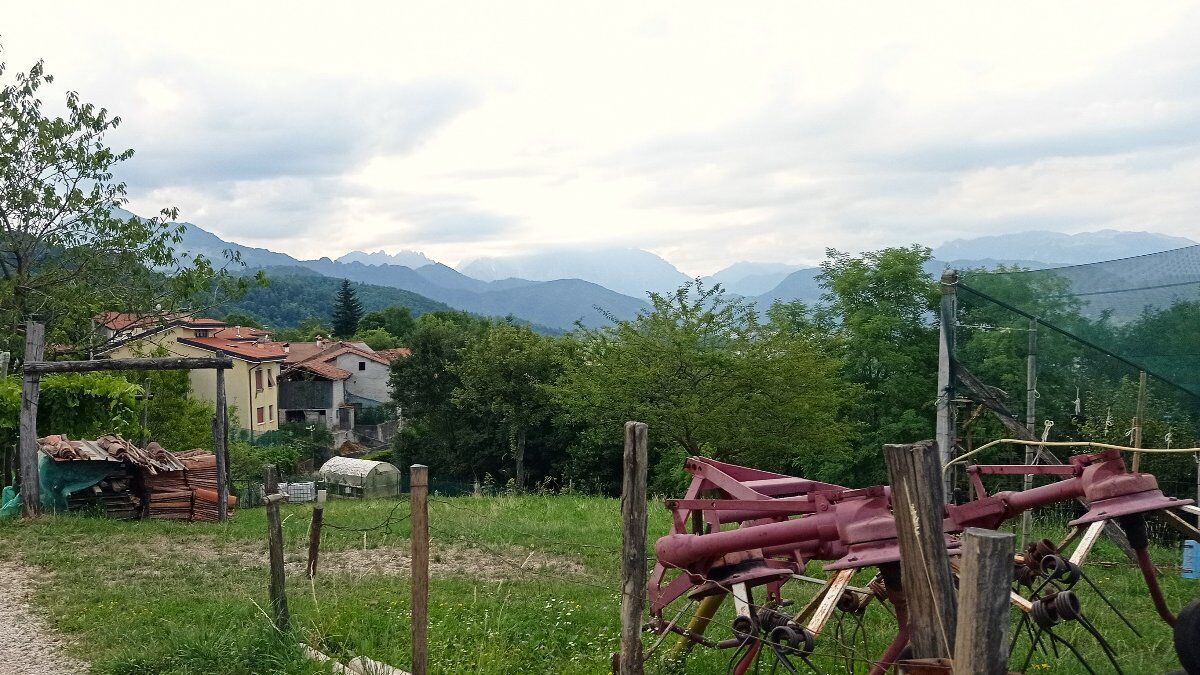 A passo d’asino nell'Alto Vicentino A passo d’asino nell'Alto Vicentino desktop picture