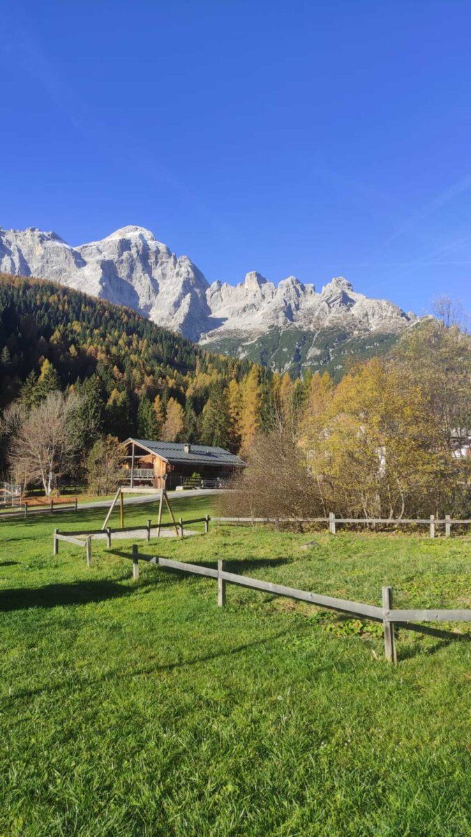 Monte Punta: anello panoramico tra boschi, pascoli e antichi tabià Monte Punta: anello panoramico tra boschi, pascoli e antichi tabià desktop picture