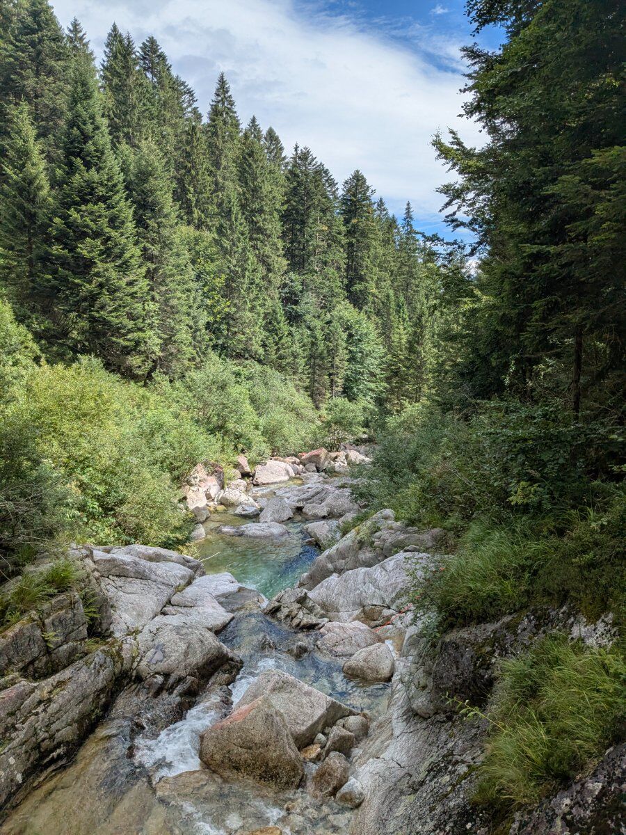 Forra Sorgazza, tra boschi e cascate Forra Sorgazza, tra boschi e cascate desktop picture