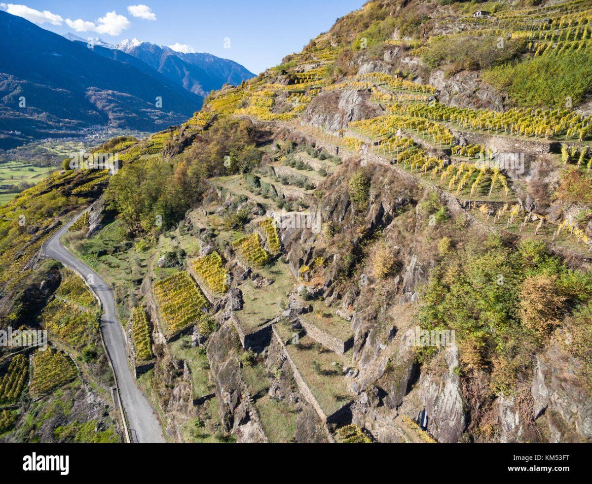 Alla scoperta di antichi vigneti ed alla degustazione di vini montani Alla scoperta di antichi vigneti ed alla degustazione di vini montani desktop picture