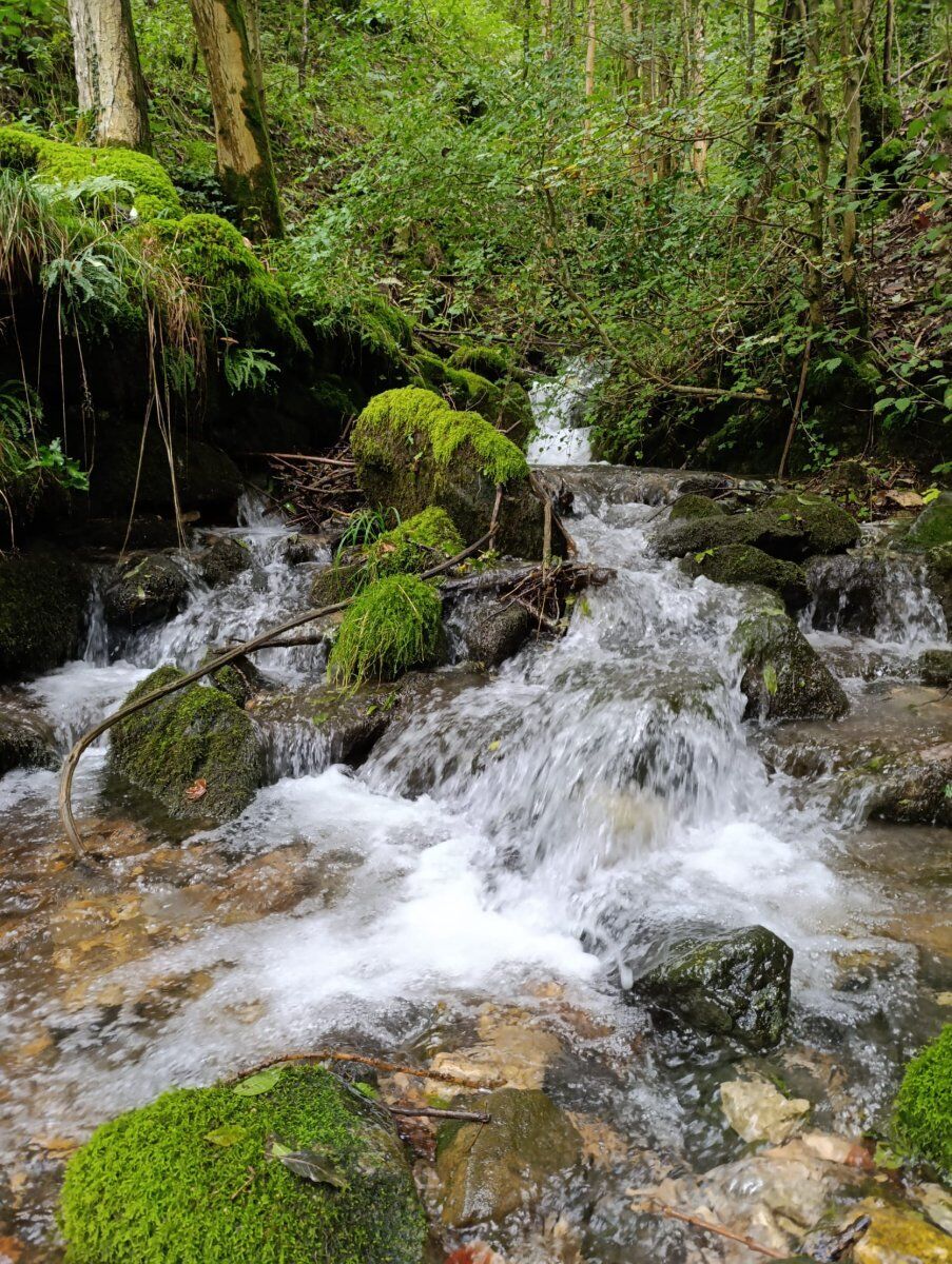 Ai piedi delle Piccole Dolomiti: tra boschi, cascate e panorami Ai piedi delle Piccole Dolomiti: tra boschi, cascate e panorami desktop picture