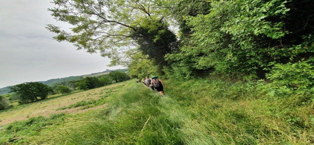 Frascarolo e l’Abbazia di Acqualuga: Camminata tra Natura e Storia Frascarolo e l’Abbazia di Acqualuga: Camminata tra Natura e Storia desktop picture