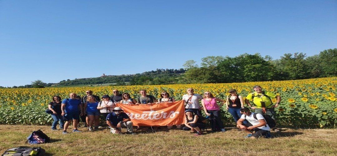 Frascarolo e l’Abbazia di Acqualuga: Camminata tra Natura e Storia Frascarolo e l’Abbazia di Acqualuga: Camminata tra Natura e Storia desktop picture