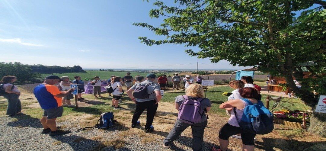 Frascarolo e l’Abbazia di Acqualuga: Camminata tra Natura e Storia Frascarolo e l’Abbazia di Acqualuga: Camminata tra Natura e Storia desktop picture