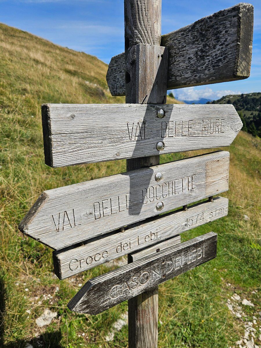 “MONTE CA’ TASSON” - In Grappa tra l’Alta Via e il Bosco degli Eroi “MONTE CA’ TASSON” - In Grappa tra l’Alta Via e il Bosco degli Eroi desktop picture