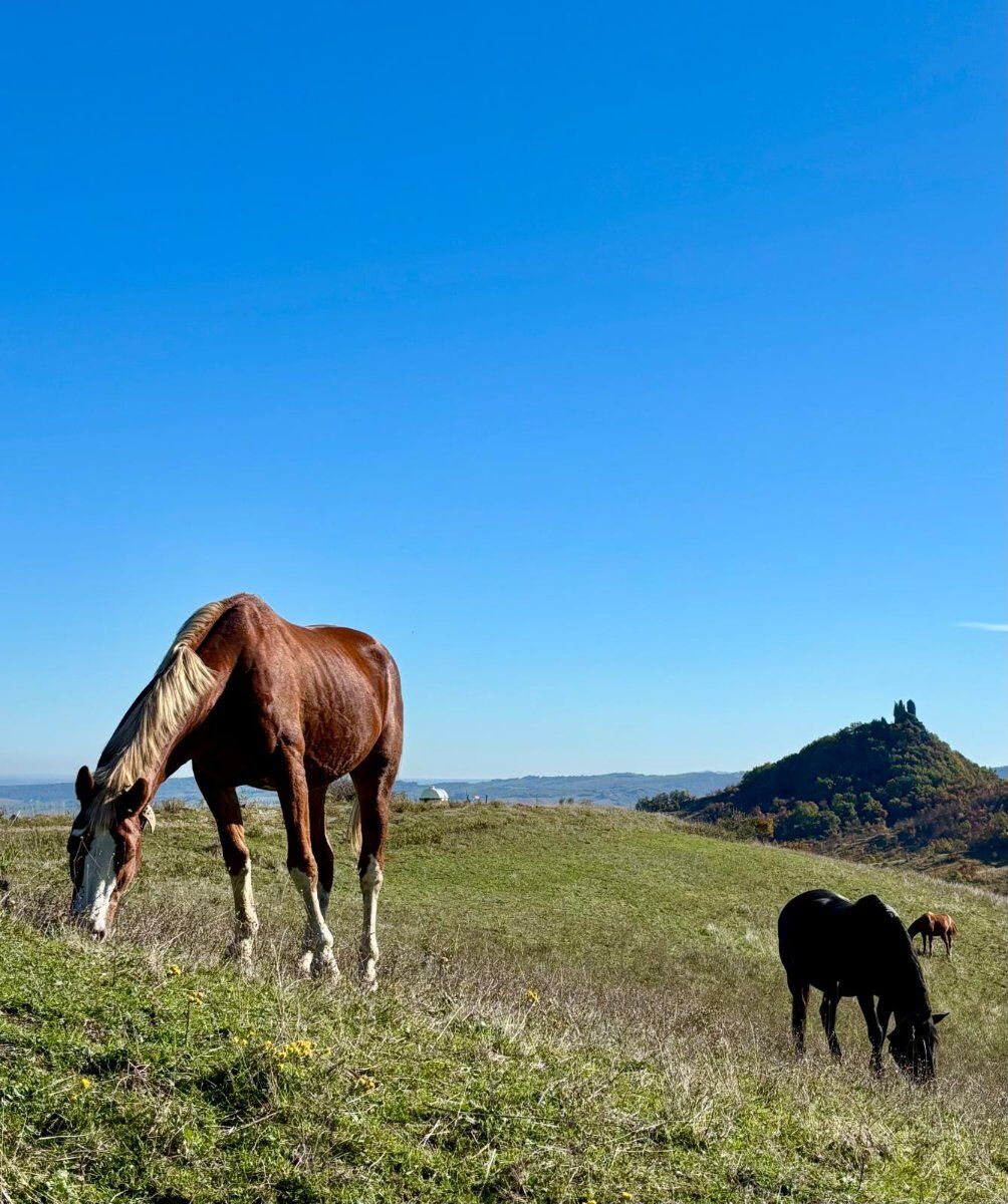 Varano de’ Melegari: Big Bench, e leggende tra pietre e castelli Varano de’ Melegari: Big Bench, e leggende tra pietre e castelli desktop picture