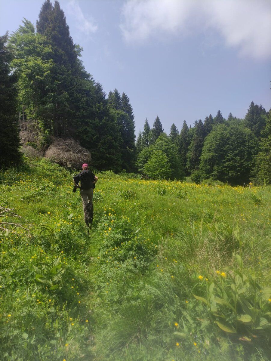 Camminando tra le ultime luci d’autunno: le malghe di Caltrano Camminando tra le ultime luci d’autunno: le malghe di Caltrano desktop picture
