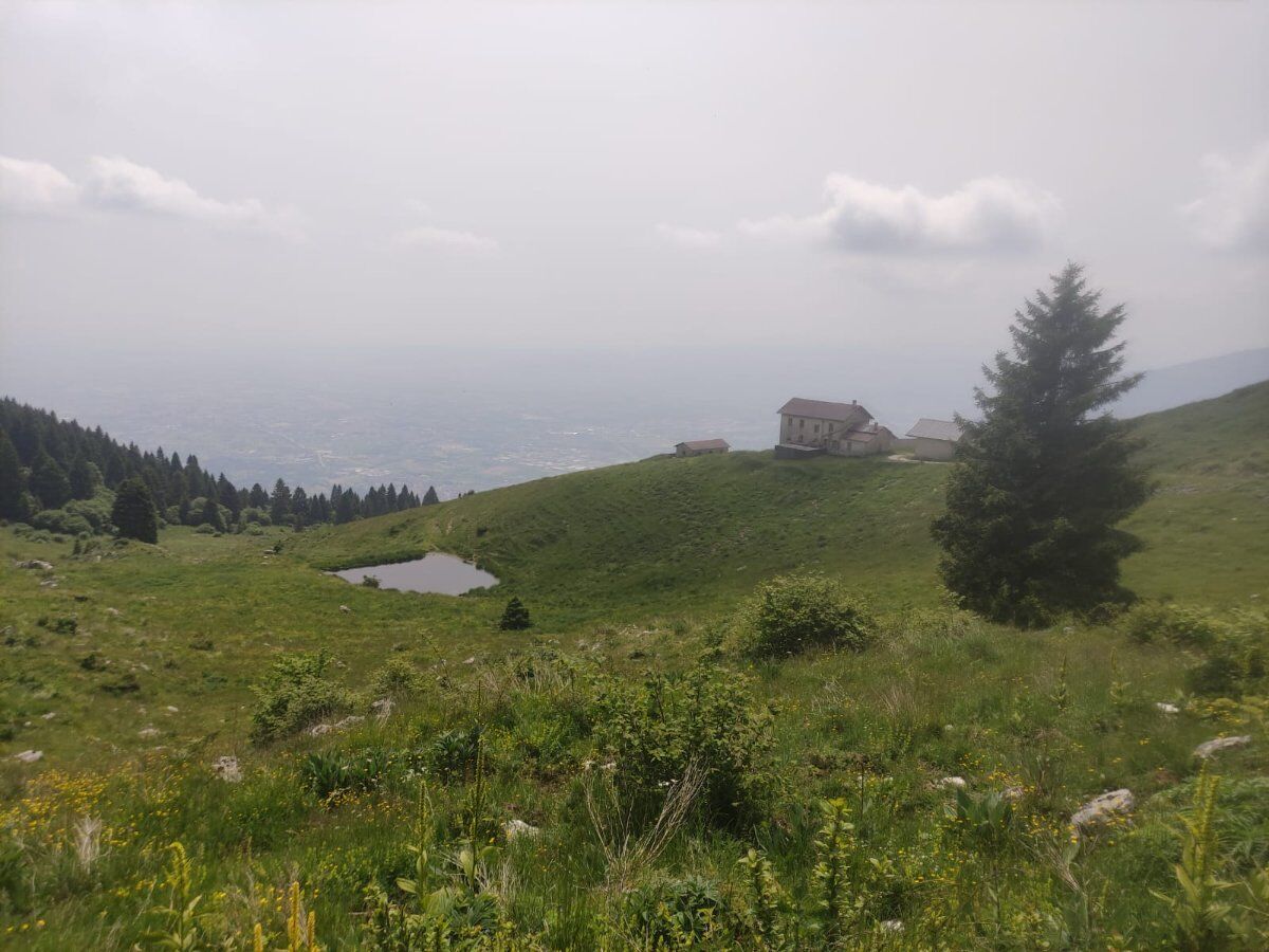 Camminando tra le ultime luci d’autunno: le malghe di Caltrano Camminando tra le ultime luci d’autunno: le malghe di Caltrano desktop picture