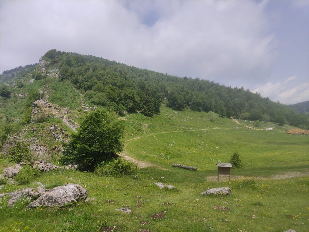 Camminando tra le ultime luci d’autunno: le malghe di Caltrano Camminando tra le ultime luci d’autunno: le malghe di Caltrano desktop picture