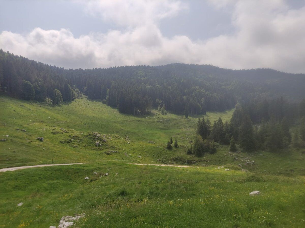 Camminando tra le ultime luci d’autunno: le malghe di Caltrano Camminando tra le ultime luci d’autunno: le malghe di Caltrano desktop picture