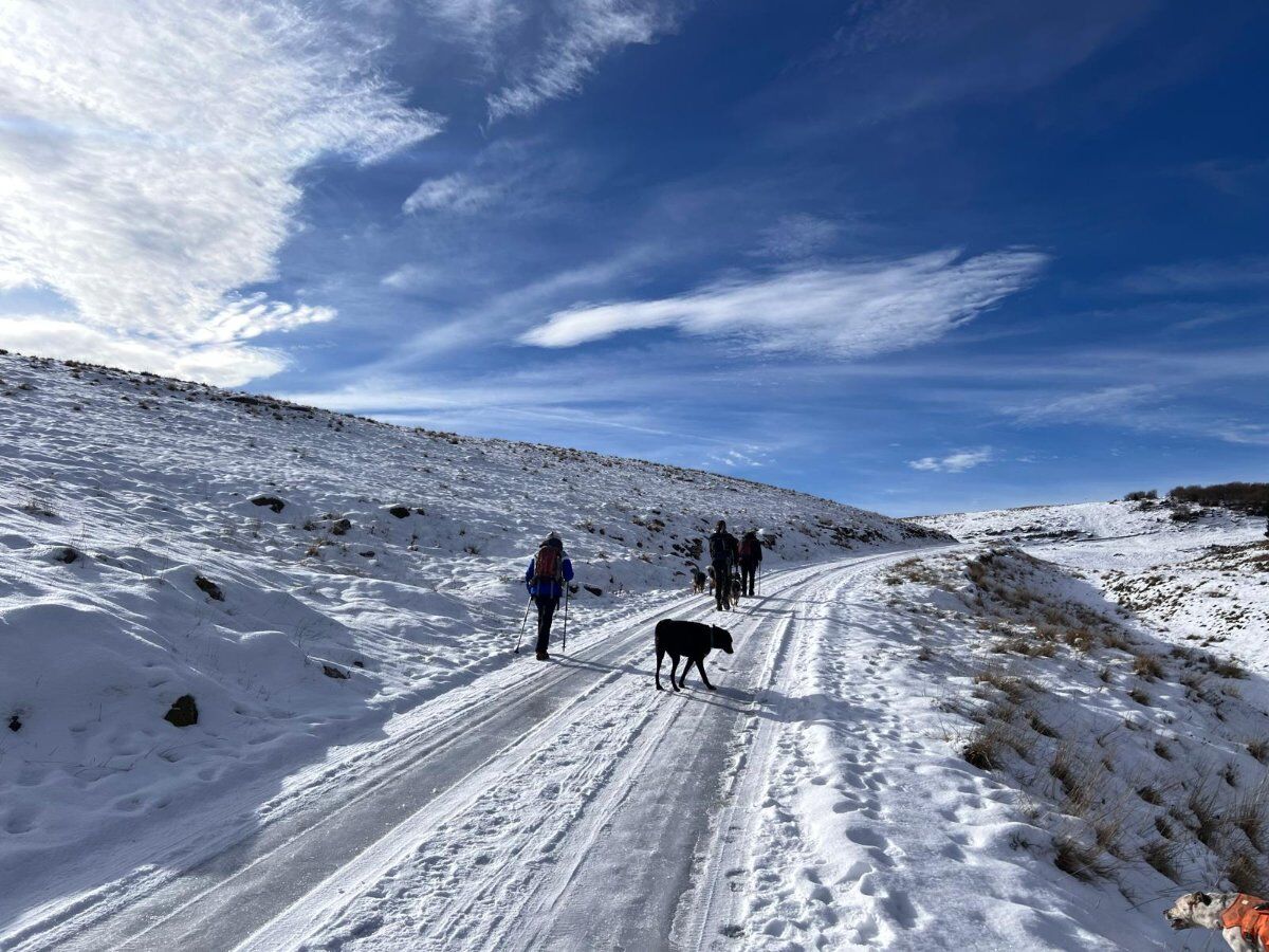Da Bocchetta Granezza: malghe, sentieri partigiani e vista sui Colli Da Bocchetta Granezza: malghe, sentieri partigiani e vista sui Colli desktop picture