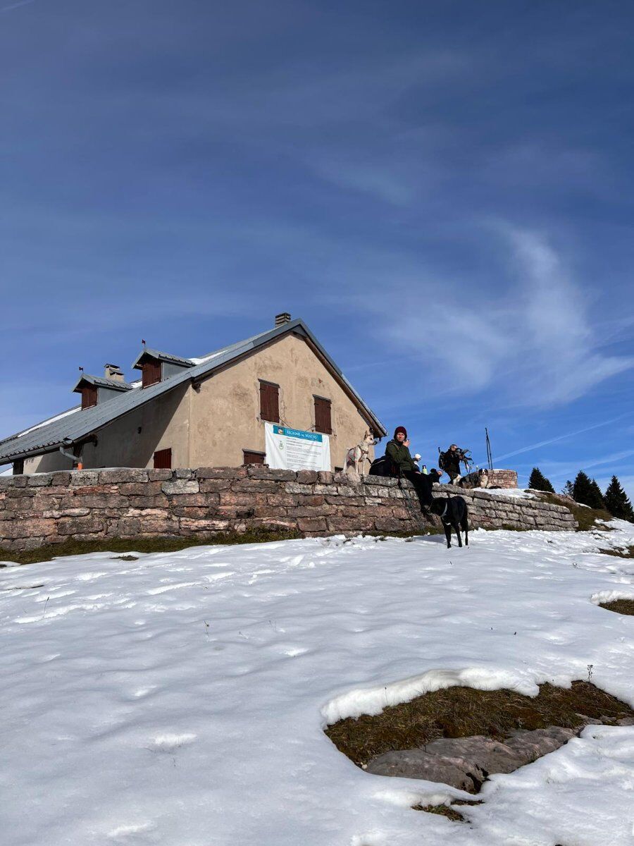 Da Bocchetta Granezza: malghe, sentieri partigiani e vista sui Colli Da Bocchetta Granezza: malghe, sentieri partigiani e vista sui Colli desktop picture