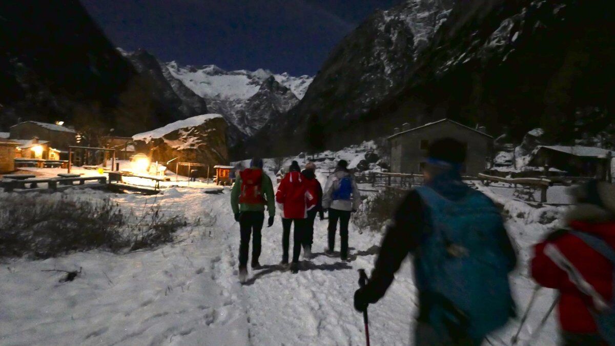 Ciaspolata nottuna al chiaro di luna con cena in rifugio Ciaspolata nottuna al chiaro di luna con cena in rifugio desktop picture
