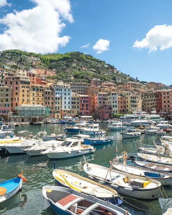 Camogli, la Cittadina dai Mille Velieri (GE) Camogli, la Cittadina dai Mille Velieri (GE) desktop picture