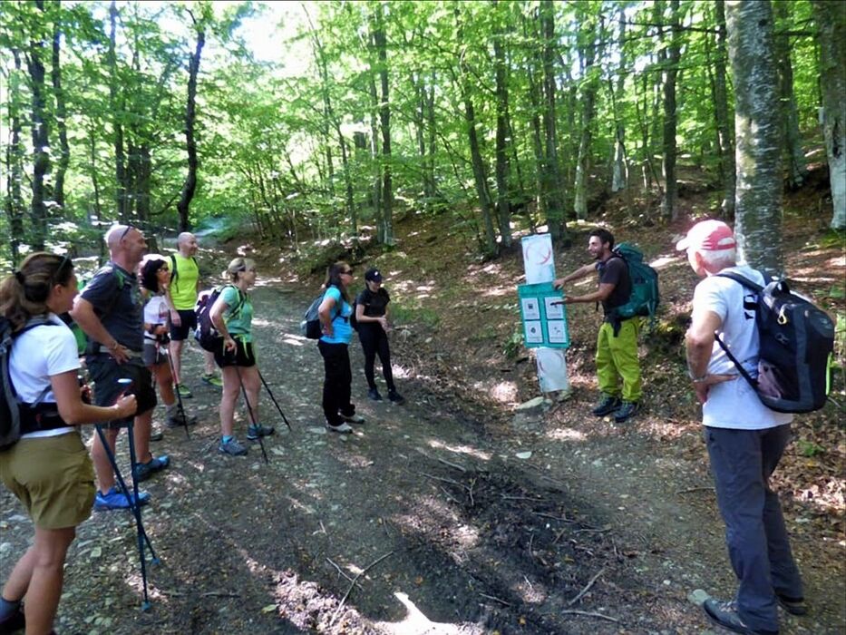 Il Monte Ebro: Trekking con vista dall'Appennino del Nord Il Monte Ebro: Trekking con vista dall'Appennino del Nord desktop picture