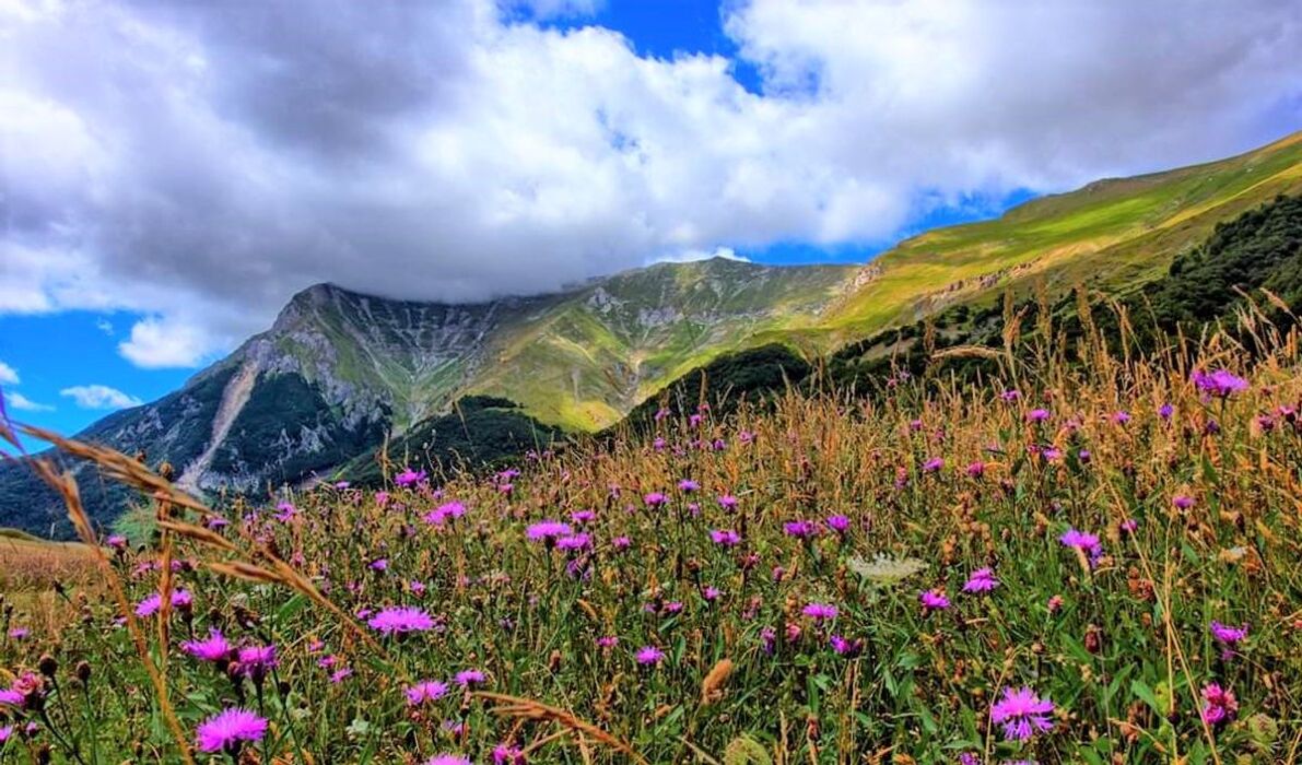 Montegallo: tra le Sibille nelle Terre del Monte Vettore (AP) (EVENTO GRATUITO CON CAUZIONE) Montegallo: tra le Sibille nelle Terre del Monte Vettore (AP) (EVENTO GRATUITO CON CAUZIONE) desktop picture