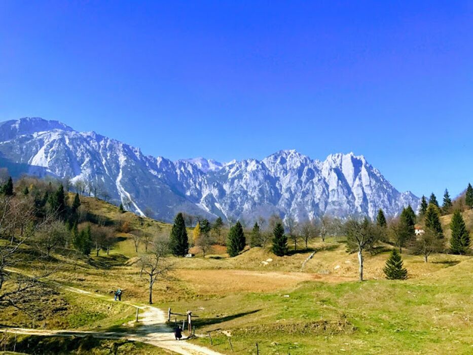 Il Sentiero dei Grandi Alberi: Un Nuovo Panoramico Percorso Il Sentiero dei Grandi Alberi: Un Nuovo Panoramico Percorso desktop picture