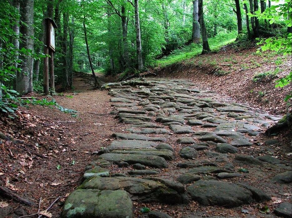 La Via degli Dei: Una Giornata Camminando Nella Storia - MATTINA La Via degli Dei: Una Giornata Camminando Nella Storia - MATTINA desktop picture