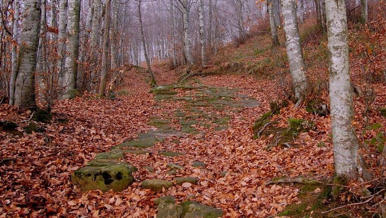 La Via degli Dei: Una Giornata Camminando Nella Storia - MATTINA La Via degli Dei: Una Giornata Camminando Nella Storia - MATTINA desktop picture