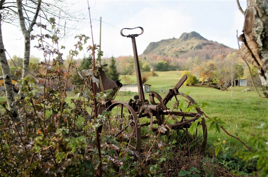 Itinerario tra Curiose Scoperte Archeologiche: Le Mummie di Roccapelago Itinerario tra Curiose Scoperte Archeologiche: Le Mummie di Roccapelago desktop picture