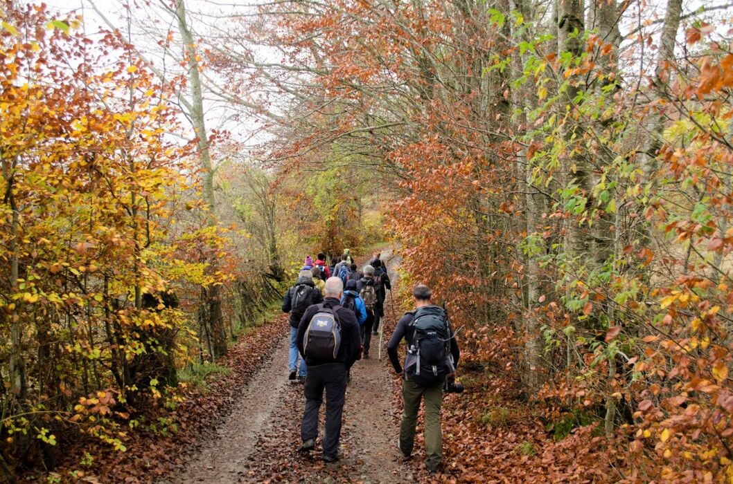 Itinerario tra Curiose Scoperte Archeologiche: Le Mummie di Roccapelago Itinerario tra Curiose Scoperte Archeologiche: Le Mummie di Roccapelago desktop picture