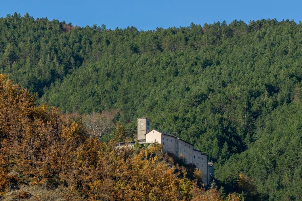 Itinerario tra Curiose Scoperte Archeologiche: Le Mummie di Roccapelago Itinerario tra Curiose Scoperte Archeologiche: Le Mummie di Roccapelago desktop picture