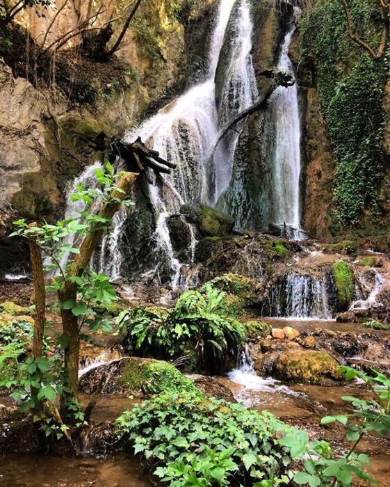 L’Eremo di Pale: Tra il Santuario sul Monte e Dolci Cascate (PG) (EVENTO GRATUITO CON CAUZIONE) L’Eremo di Pale: Tra il Santuario sul Monte e Dolci Cascate (PG) (EVENTO GRATUITO CON CAUZIONE) desktop picture