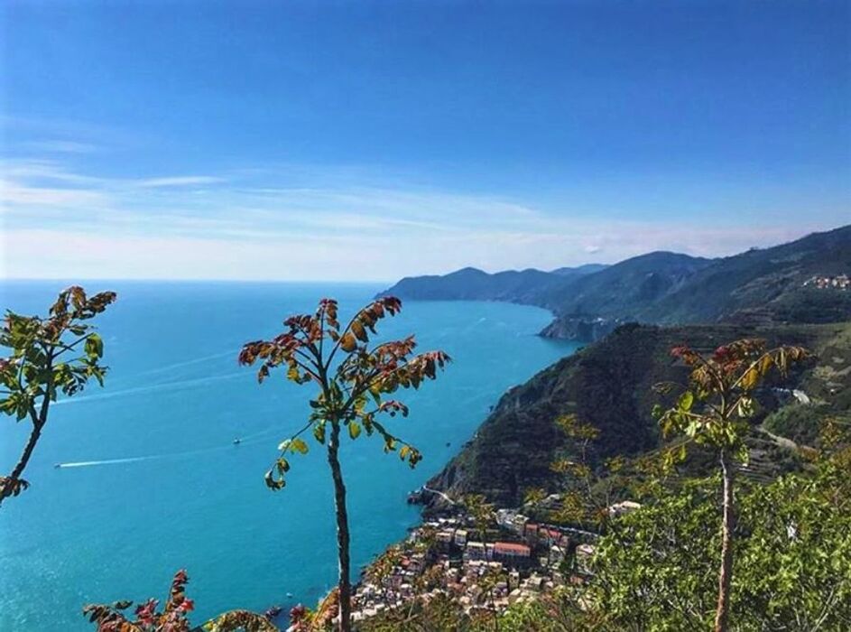 Riomaggiore: Lungo la Via dei Santuari nelle Cinque Terre (SP) Riomaggiore: Lungo la Via dei Santuari nelle Cinque Terre (SP) desktop picture