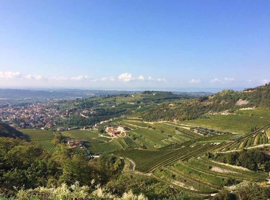 Trekking & Yoga nelle Terre dell’Amarone (VR) Trekking & Yoga nelle Terre dell’Amarone (VR) desktop picture