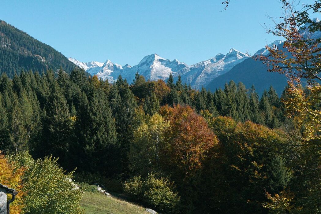 Trekking in Val Antigorio: Foppiano e il Sasso di Gravellona Trekking in Val Antigorio: Foppiano e il Sasso di Gravellona desktop picture