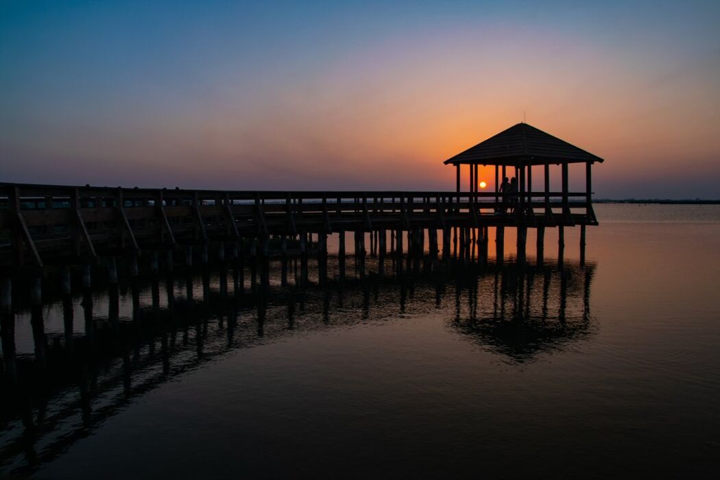 L'Incantesimo del Delta del Po: Il Giardino Litoraneo di Porto Caleri L'Incantesimo del Delta del Po: Il Giardino Litoraneo di Porto Caleri desktop picture