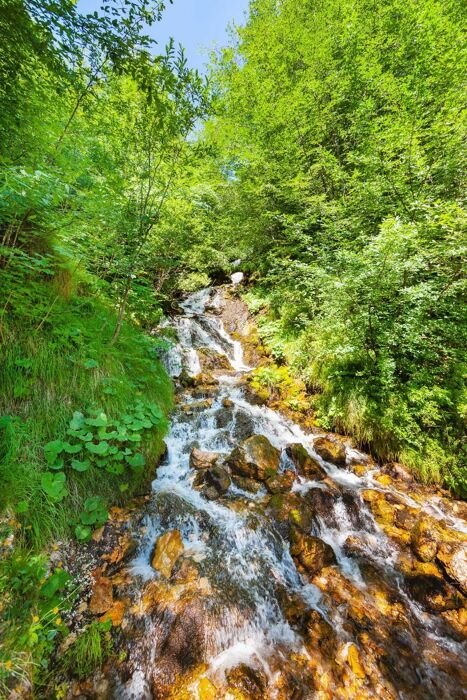 Monte Rove: ciaspolata panoramica per la pace dei sensi Monte Rove: ciaspolata panoramica per la pace dei sensi desktop picture