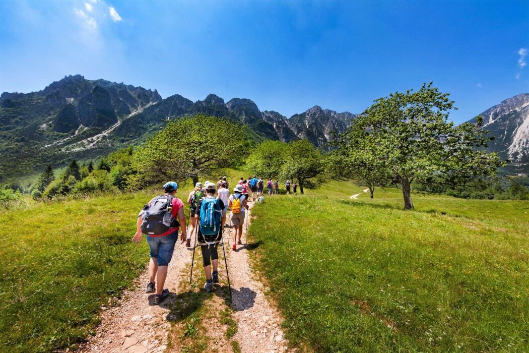 Monte Rove: ciaspolata panoramica per la pace dei sensi Monte Rove: ciaspolata panoramica per la pace dei sensi desktop picture
