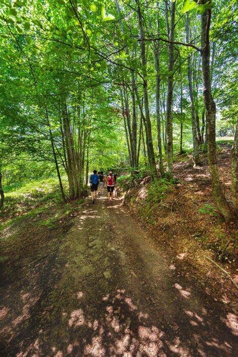 Monte Rove: ciaspolata panoramica per la pace dei sensi Monte Rove: ciaspolata panoramica per la pace dei sensi desktop picture