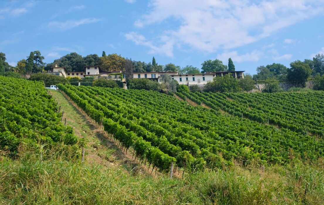 Valli dell’Argon e Tenuta Frizzoni: Escursione nella natura Bergamasca Valli dell’Argon e Tenuta Frizzoni: Escursione nella natura Bergamasca desktop picture