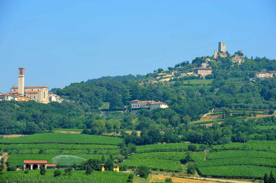Vicenza: La Città del Palladio tra Colli Berici e Ville Venete Vicenza: La Città del Palladio tra Colli Berici e Ville Venete desktop picture