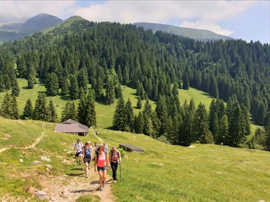 Trekking all'Alpe Corte Bassa con vista panoramica Trekking all'Alpe Corte Bassa con vista panoramica desktop picture