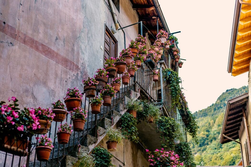 Camminata a Bienno: il Bosco del Cerreto e il Gufo panoramico Gigante Camminata a Bienno: il Bosco del Cerreto e il Gufo panoramico Gigante desktop picture