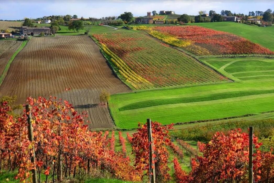 Castelvetro, il Borgo Etrusco tra le Colline del Grasparossa (MO) Castelvetro, il Borgo Etrusco tra le Colline del Grasparossa (MO) desktop picture