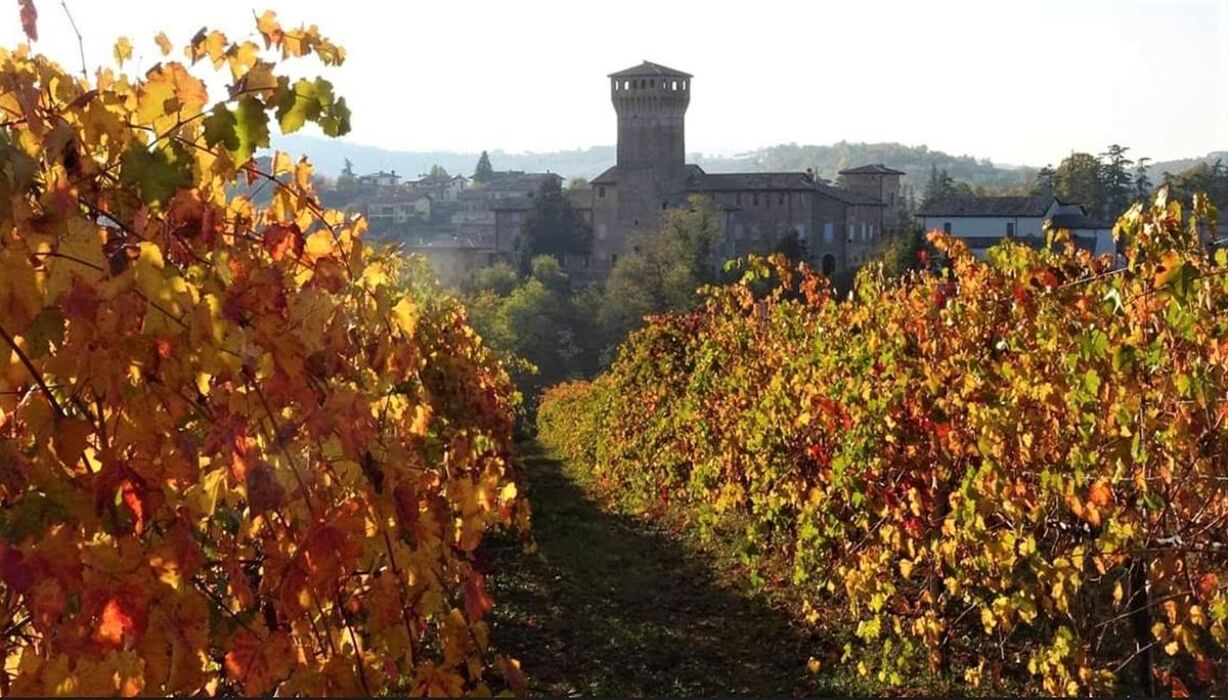 Castelvetro, il Borgo Etrusco tra le Colline del Grasparossa (MO) Castelvetro, il Borgo Etrusco tra le Colline del Grasparossa (MO) desktop picture