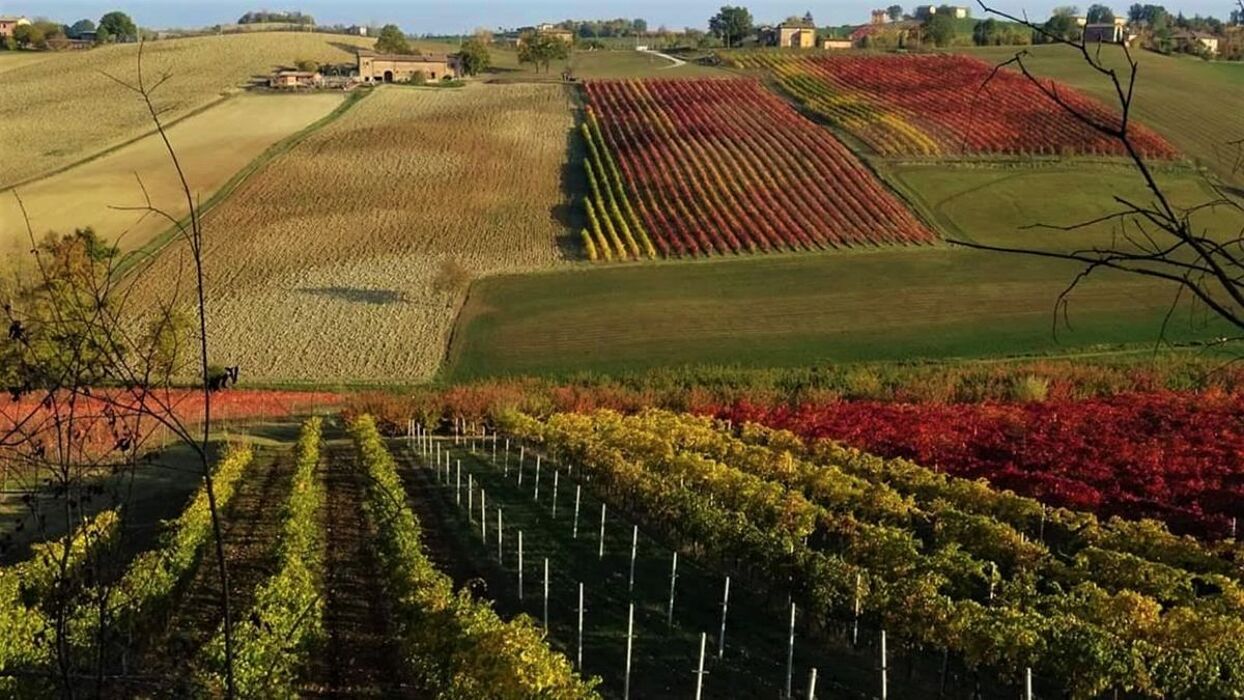 Castelvetro, il Borgo Etrusco tra le Colline del Grasparossa (MO) Castelvetro, il Borgo Etrusco tra le Colline del Grasparossa (MO) desktop picture