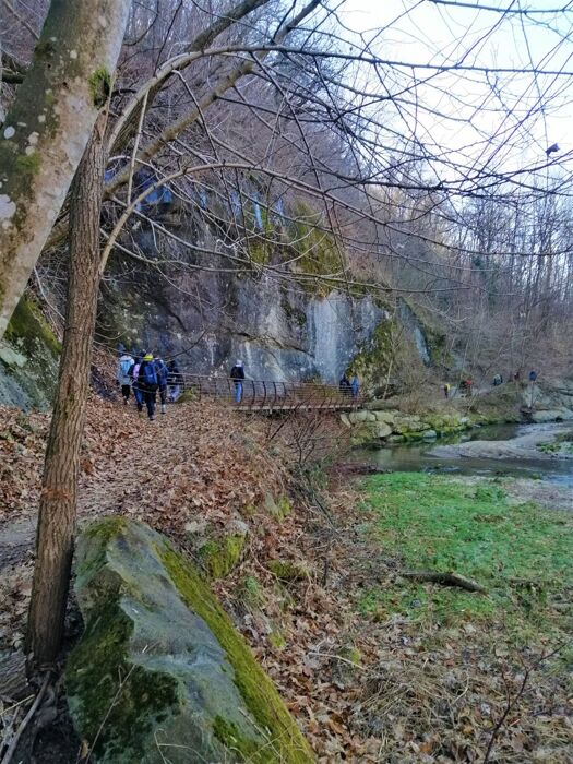 La Pietra Molera: Una Passeggiata Lunga 25 Milioni di Anni La Pietra Molera: Una Passeggiata Lunga 25 Milioni di Anni desktop picture