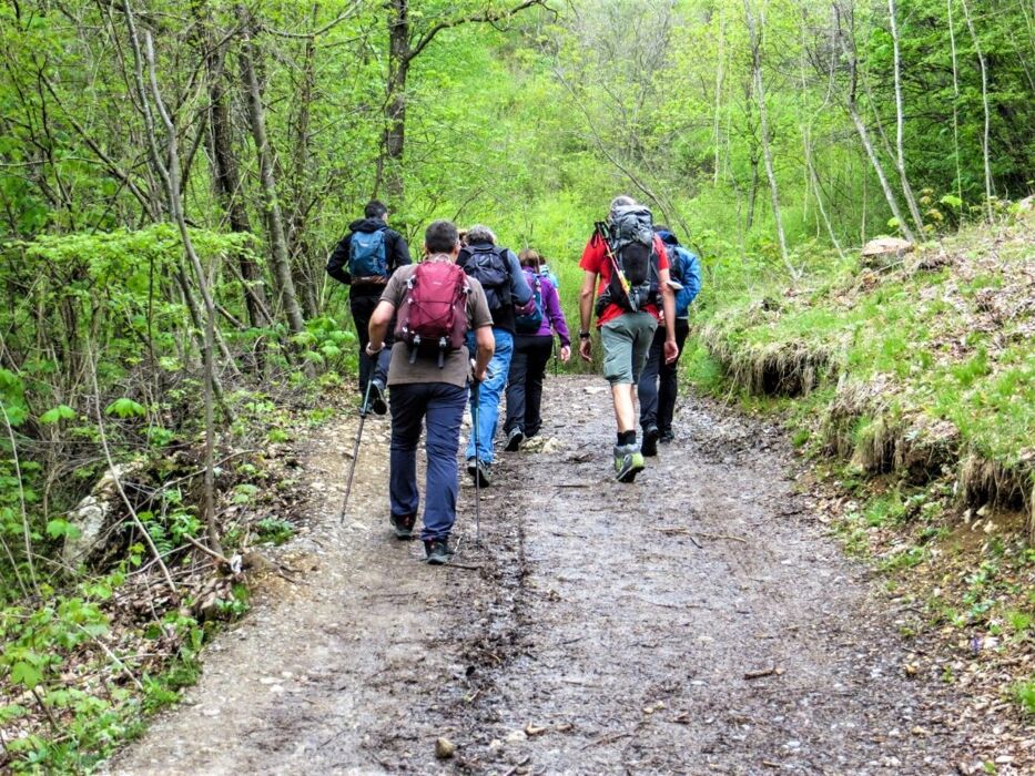 Escursione a Corna Trentapassi, l'inaspettato balcone sull'Iseo Escursione a Corna Trentapassi, l'inaspettato balcone sull'Iseo desktop picture