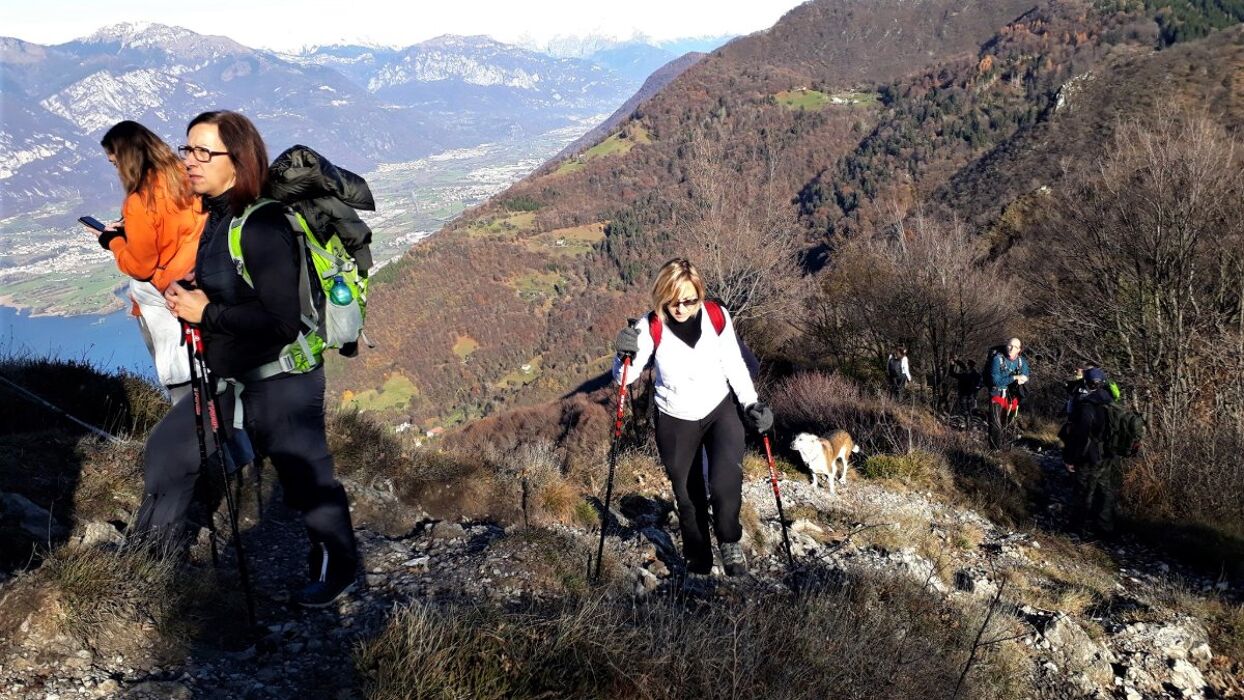 Escursione a Corna Trentapassi, l'inaspettato balcone sull'Iseo Escursione a Corna Trentapassi, l'inaspettato balcone sull'Iseo desktop picture
