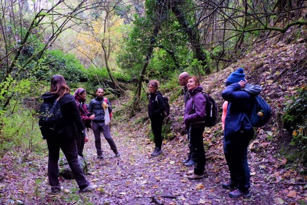 Escursione Lungo la Rinomata Via del Gesso degli Artisti Escursione Lungo la Rinomata Via del Gesso degli Artisti desktop picture