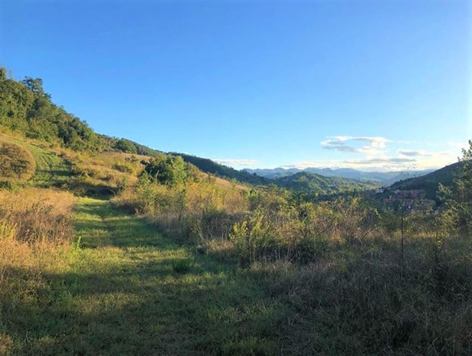 Escursione Lungo la Rinomata Via del Gesso degli Artisti Escursione Lungo la Rinomata Via del Gesso degli Artisti desktop picture