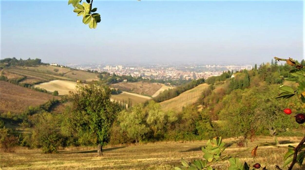 Lungo la Rinomata Via del Gesso degli Artisti - Seconda Parte (BO) Lungo la Rinomata Via del Gesso degli Artisti - Seconda Parte (BO) desktop picture