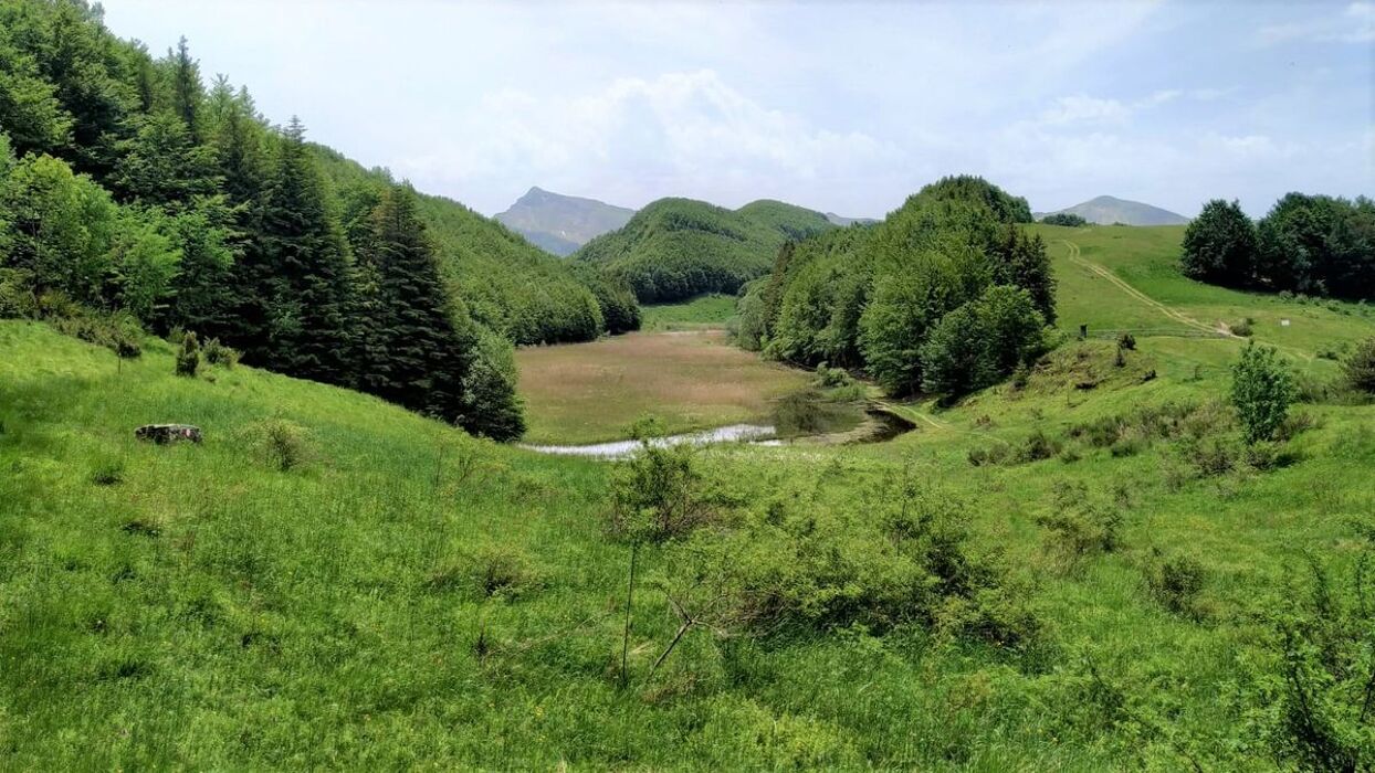 Il Lago di Pratignano: Un Percorso tra Fate e Magia Nera Il Lago di Pratignano: Un Percorso tra Fate e Magia Nera desktop picture