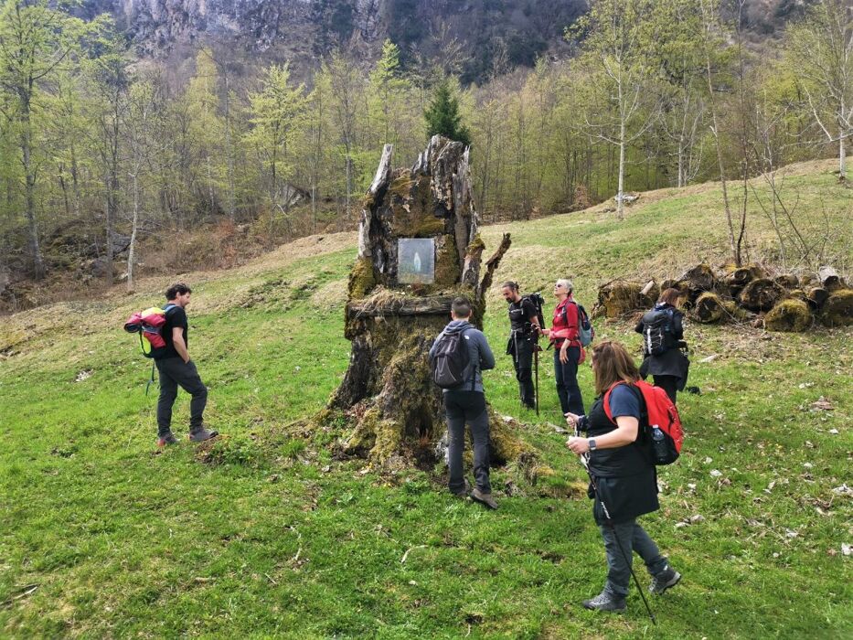 Il Sentiero dei Grandi Alberi - Seconda parte Il Sentiero dei Grandi Alberi - Seconda parte desktop picture
