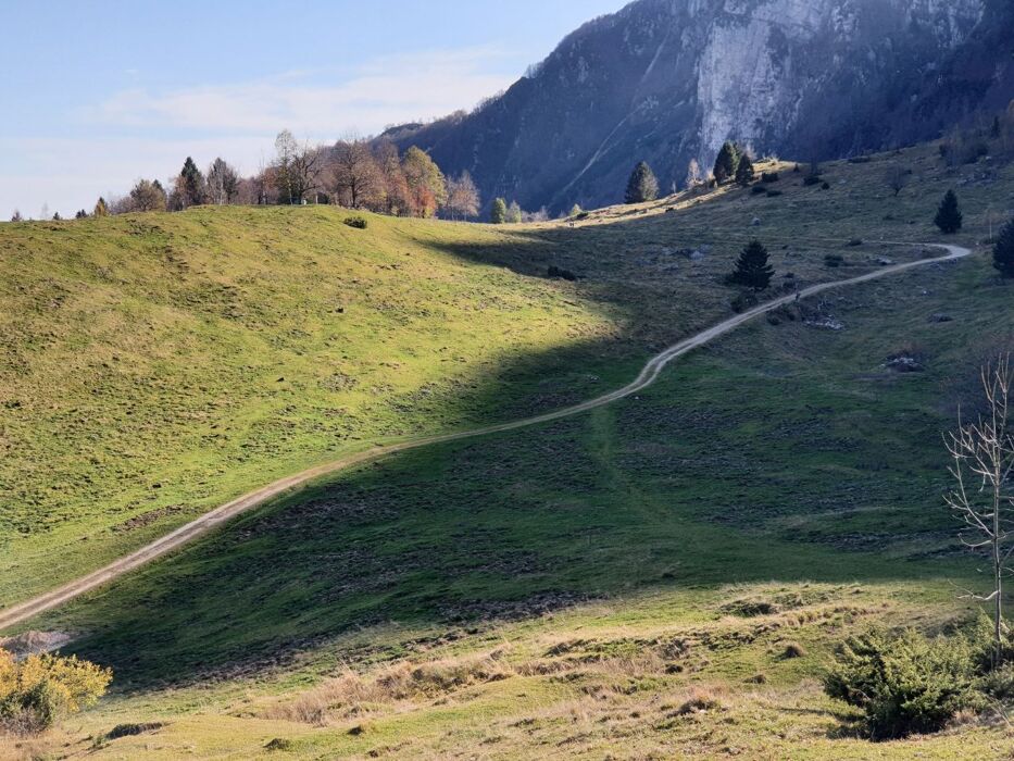 Ciaspolata presso il Sentiero dei Grandi Alberi - Seconda parte Ciaspolata presso il Sentiero dei Grandi Alberi - Seconda parte desktop picture